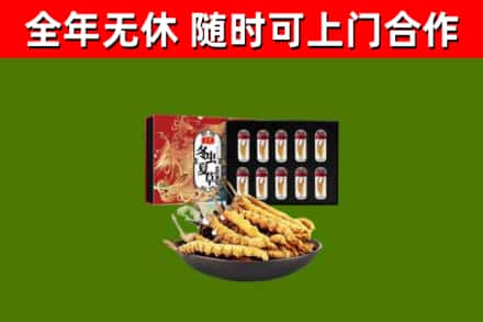 宁河区烟酒回收冬虫夏草礼盒.jpg