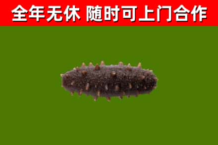 宁河区烟酒回收干海参.jpg